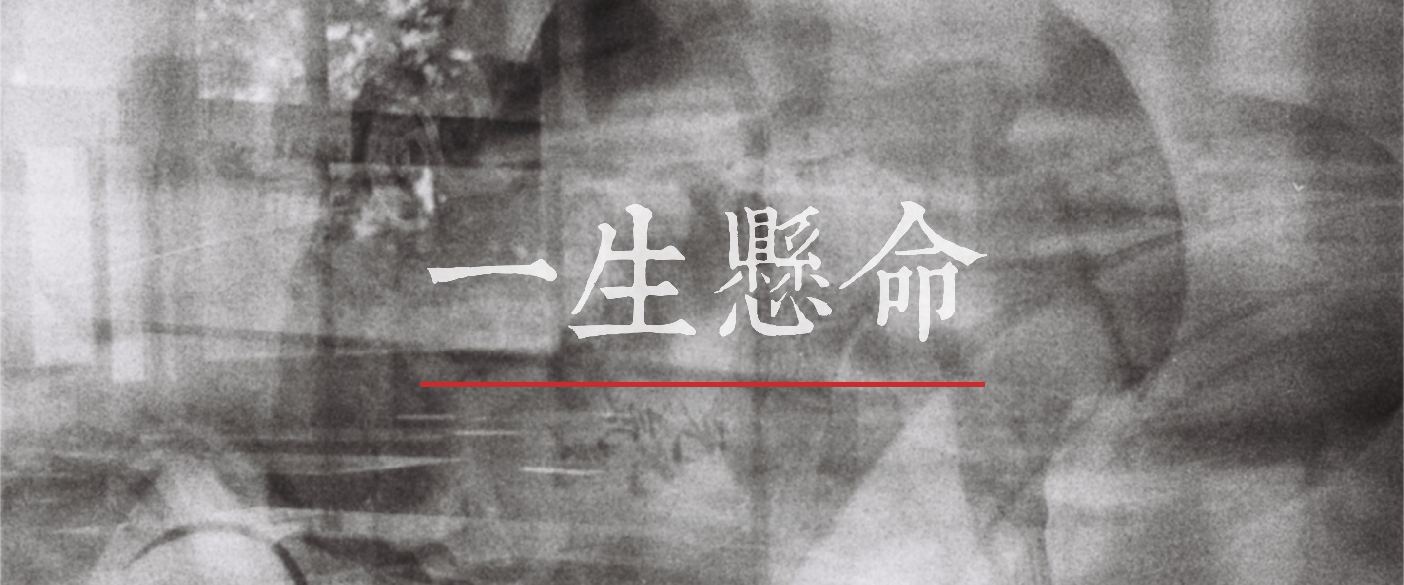 首页封面